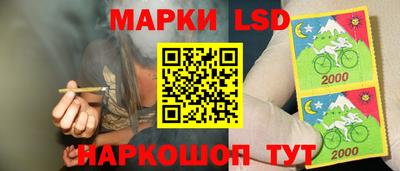 крисы Анапа