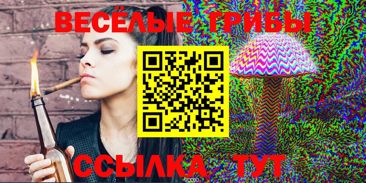 Псилоцибиновые грибы мицелий  наркотики  Большой Камень  Вход с VPN 