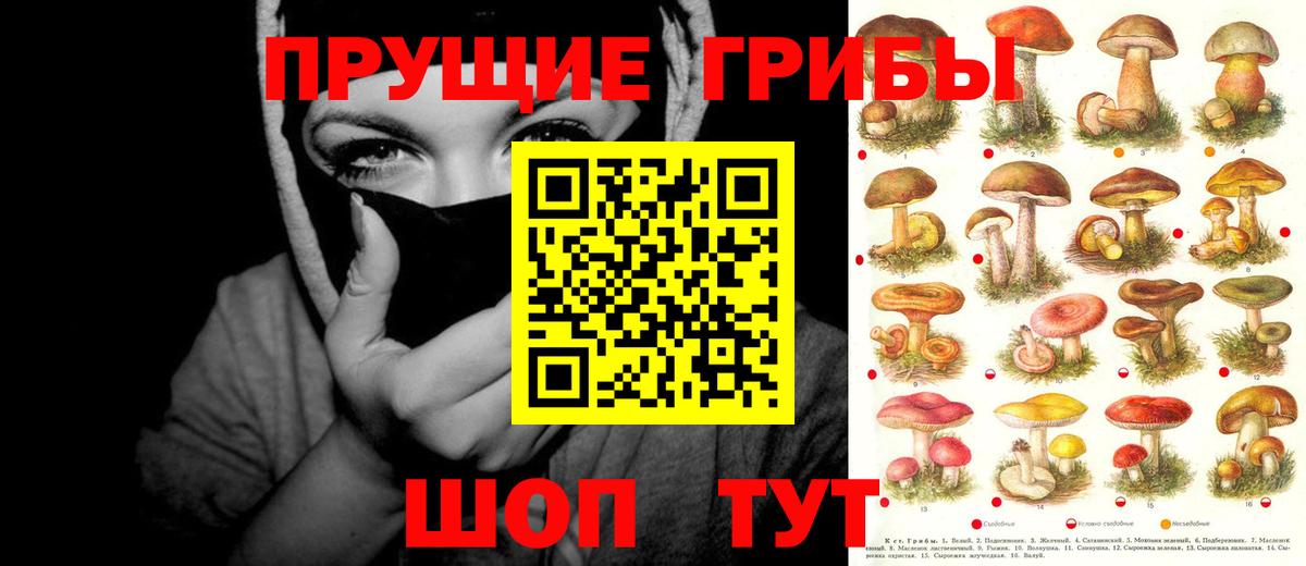 Псилоцибиновые грибы Psilocybine cubensis Большой Камень